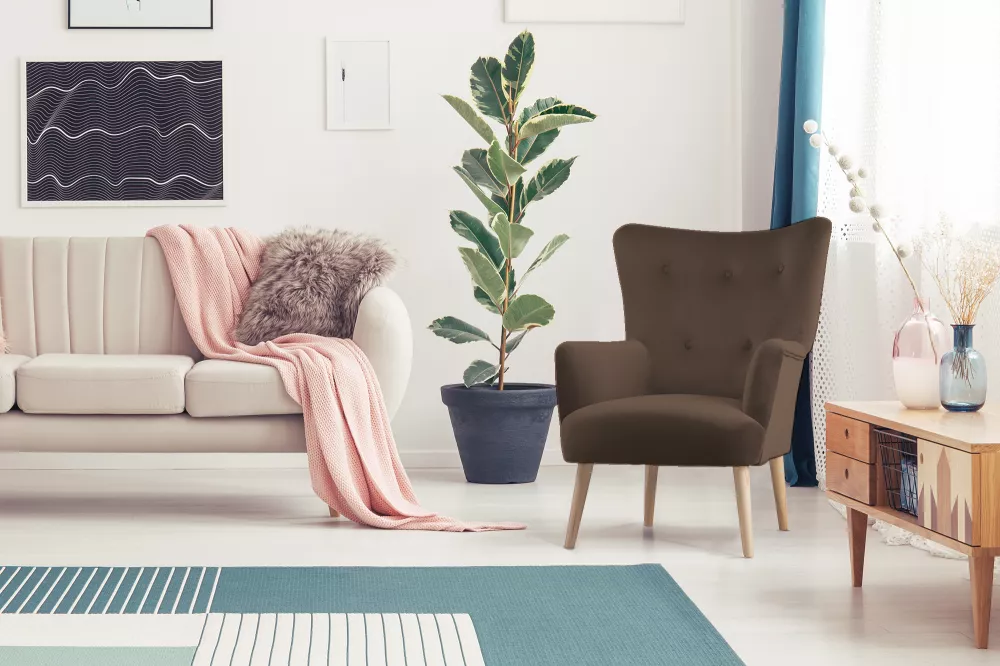 Mīksts krēsls Acrido Standard · Brūns · 70 × 75 × 100 cm