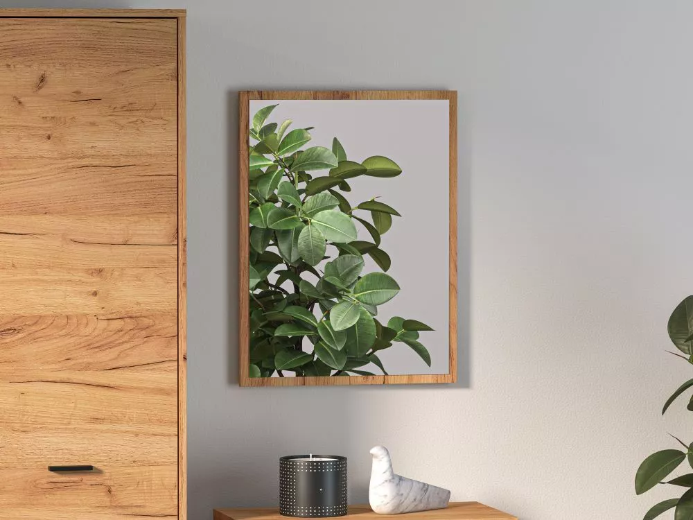Spogulis Vasco 09 · Ozols craft zelts · 50 × 2.2 × 65 cm