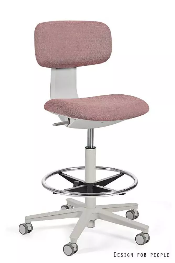 Datorkrēsls Robin Plus Comfort Korpusa krāsa: gaiši pelēks, Elementu krāsa: rozā, Sēdvietas platums: 42.5 cm, · 45.5 × 6