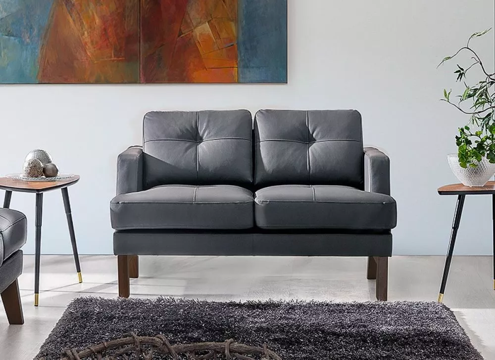 Dīvāns Carlo 2S standard · Grafīts · 88 × 132 × 83 cm