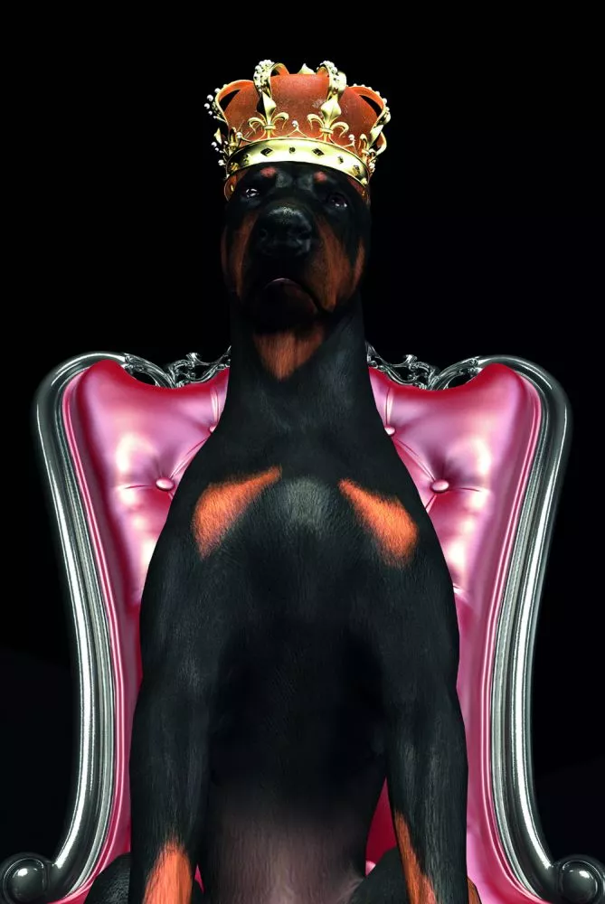 Glezna Dog in Crown · 80 cm