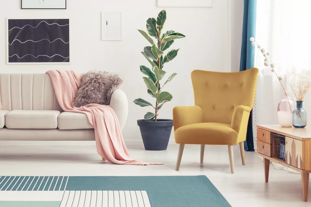 Mīksts krēsls Acrido Standard · Bēšs · 70 × 75 × 100 cm
