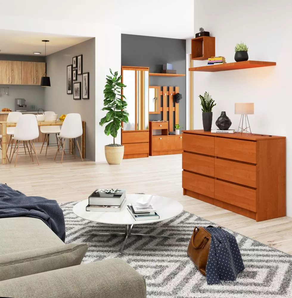 Kumode K-120 6 · Alksnis · 120 × 40 × 77 cm
