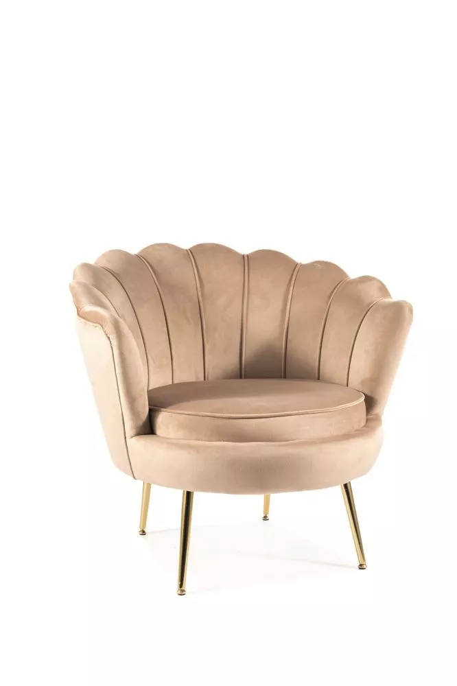 Krēsls Camellia 1S Velvet · Bēšs · 77 × 81 × 76 cm
