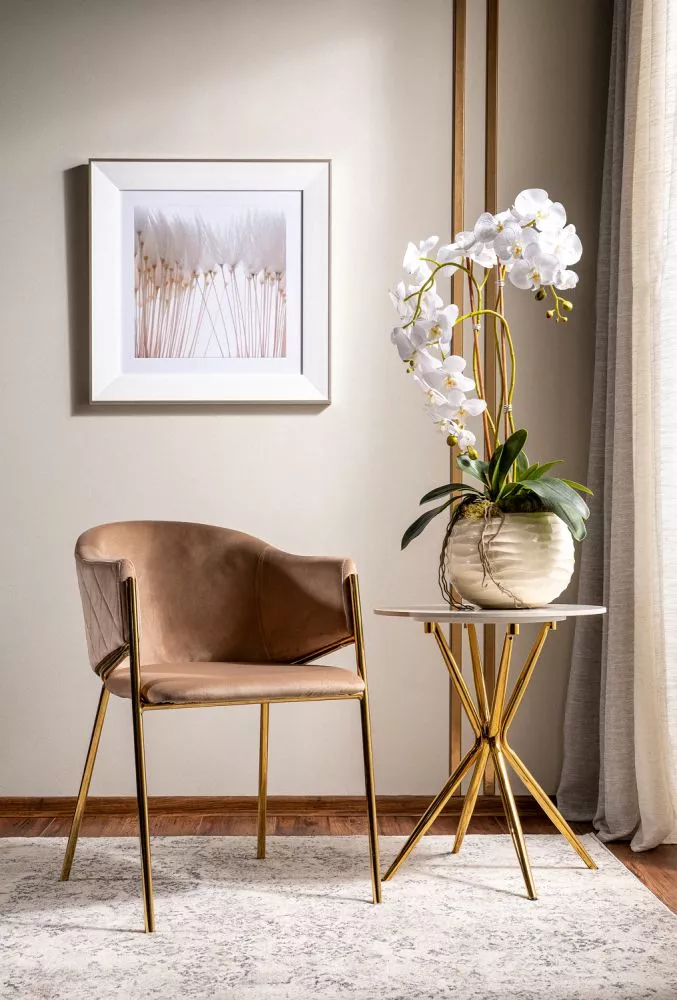 Krēsls Bono Gold Velvet · Bēšs · 77 × 55 × 44 cm