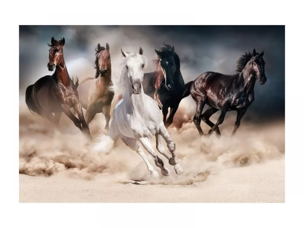 Glezna Horses · 80 cm