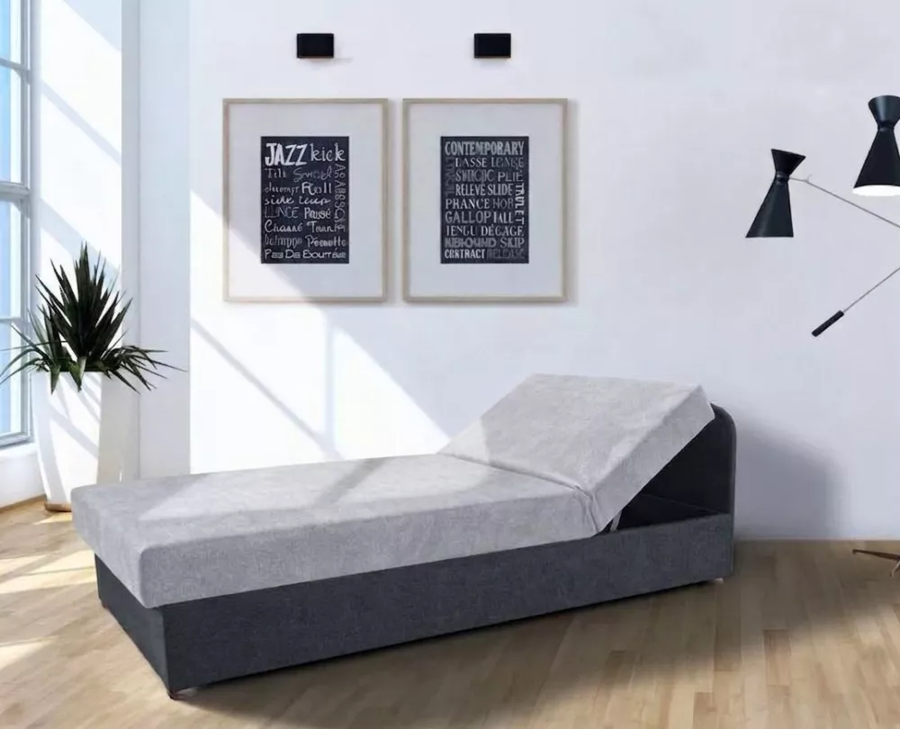 Dīvāns Dziedzic Standard · Gaiši pelēks + grafīts · 80 × 203 × 58 cm