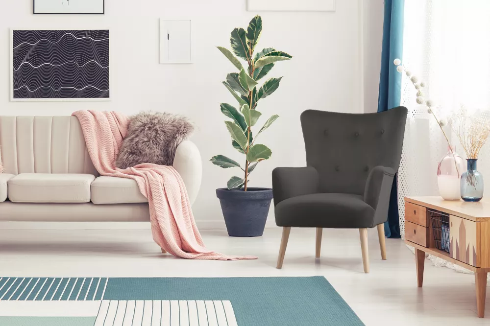 Mīksts krēsls Acrido Standard · Tumši pelēks · 70 × 75 × 100 cm