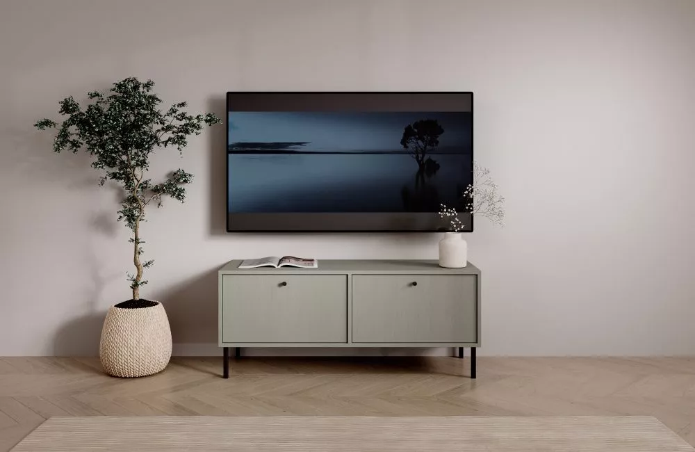 TV tumba Tili RTV2D · Zaļi pelēks · 120.6 × 40.8 × 50 cm